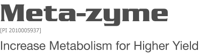 Meta-zyme - Increase Metabolism for Higher Yeild